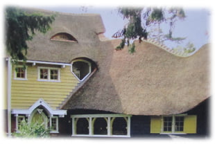 Кровля из камыша